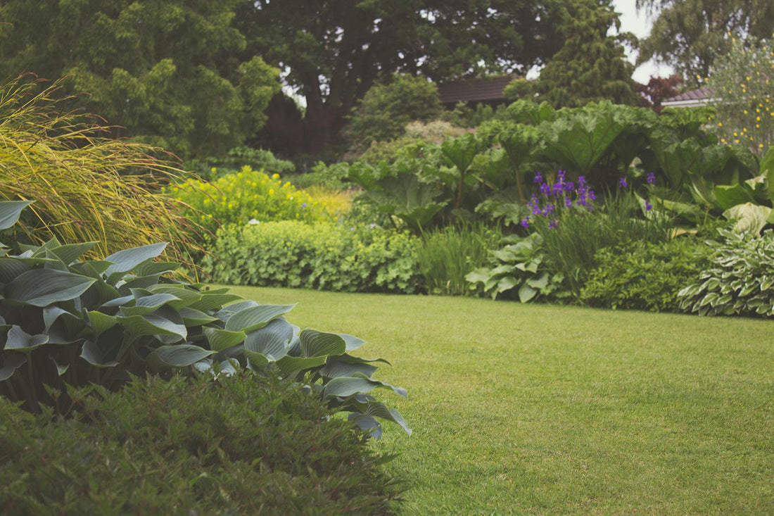 Maintenance Tips for Back & Front Yard