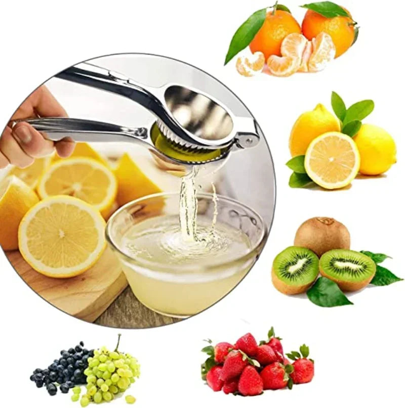 Stainless Steel Manual Fruit Pressing Juicer Processor