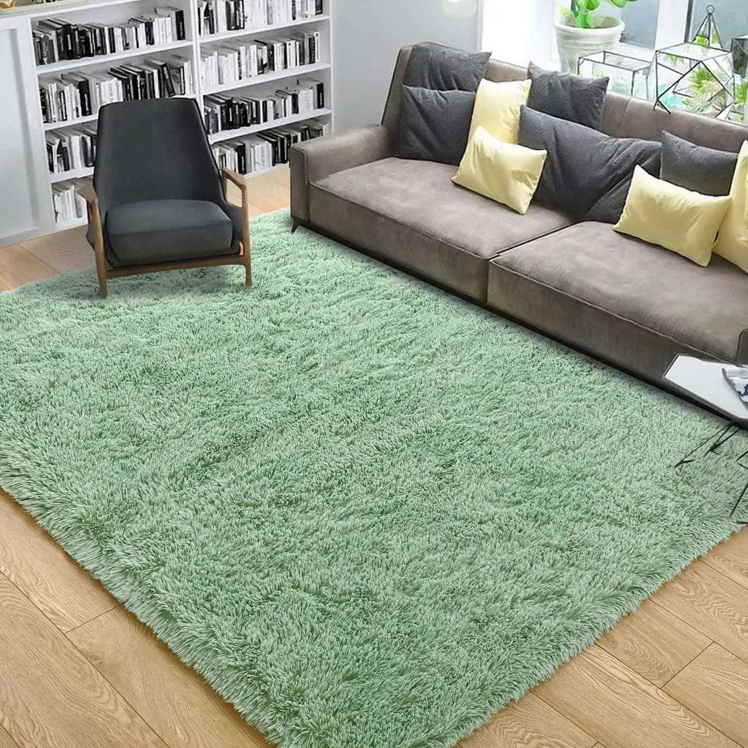 Plush Fluffy Carpet