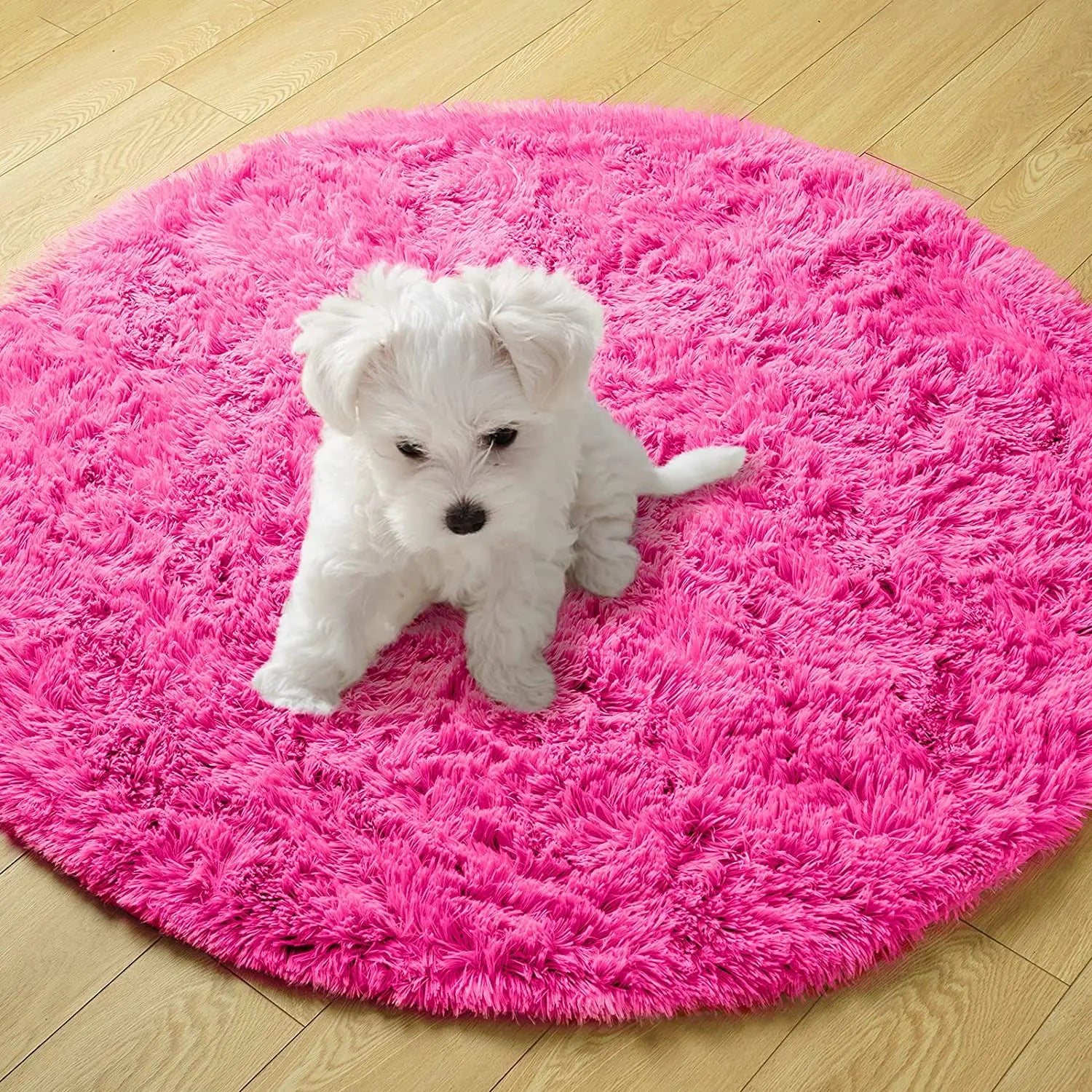 Round Plush Carpet