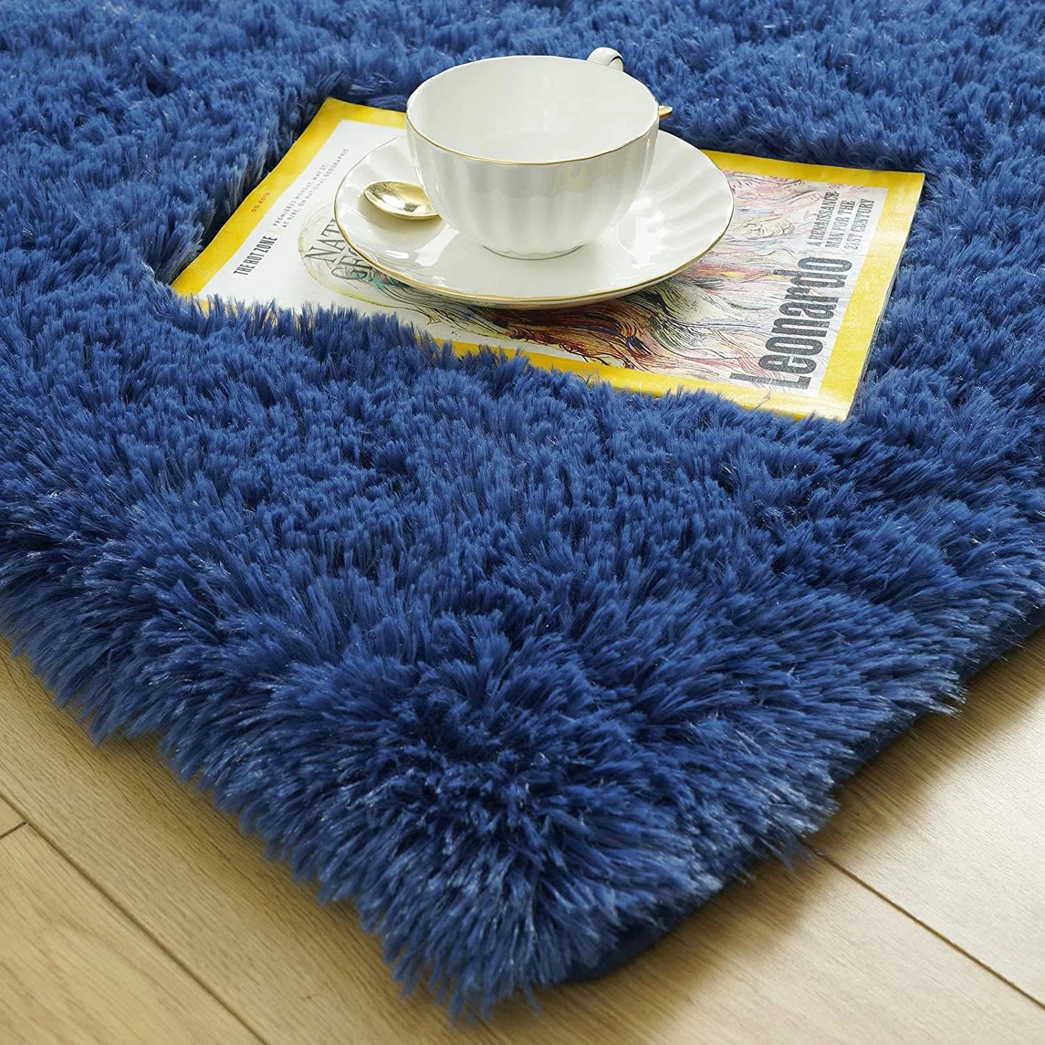 Plush Fluffy Carpet