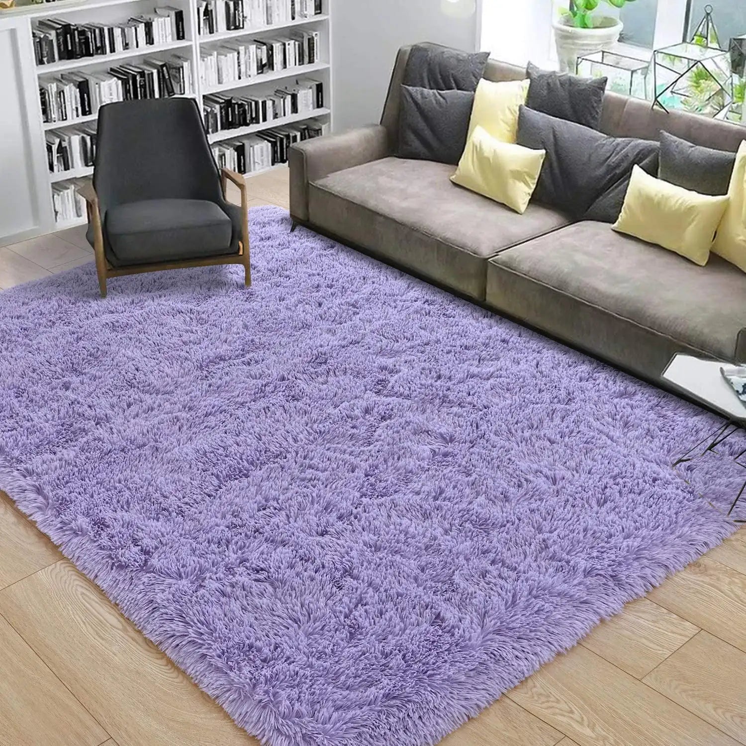 Plush Fluffy Carpet